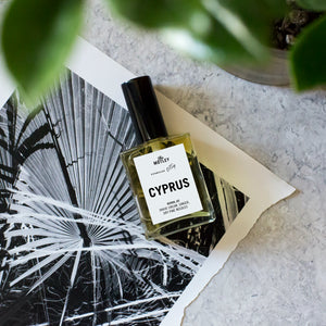 The Motley Cyprus Fragrance in a glass bottle with gold liquid and a black pump cap rests on a black and white photo of a palm tree leaf
